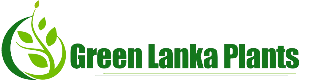 Green Lanka Plants Logo