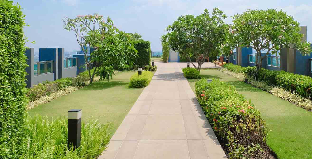 Green Rooftop