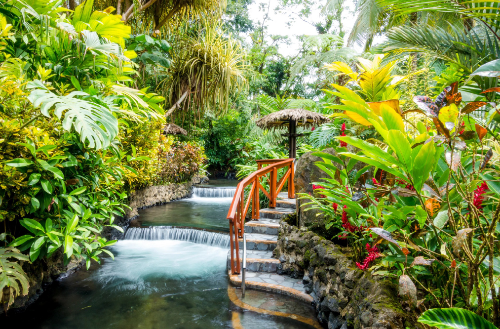 Water Garden