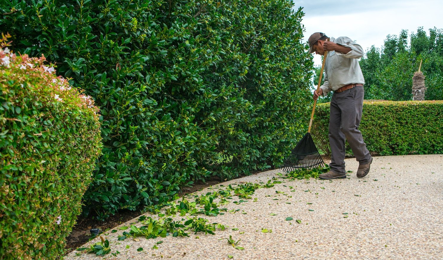 Garden Maintenance Image 1