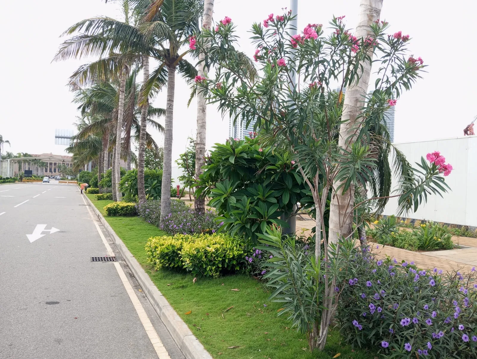 PORT CITY DEVELOPMENT PROJECT - COLOMBO